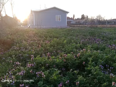 Aktaş Prefabrik Ev saha fotoğrafı, temsilî